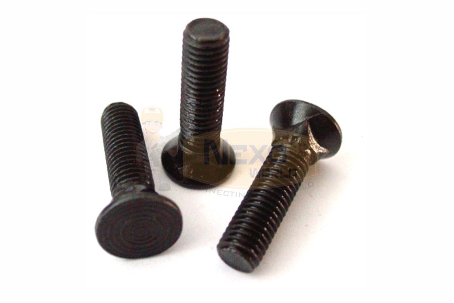 CSK head carriage bolt